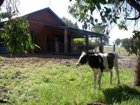 SilverSprings Spa Retreat Pet Friendly Cottages And Glampings - Accommodation Search 23