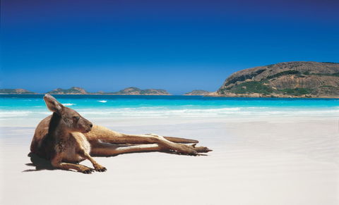Esperance YHA - Accommodation Search 14
