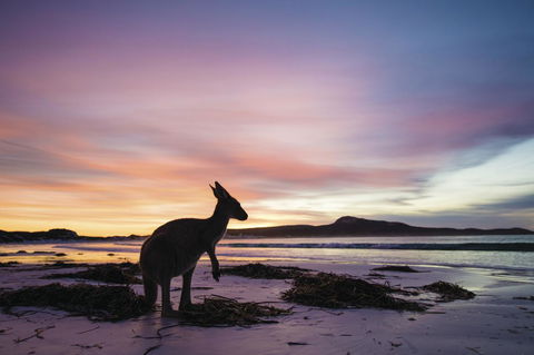 Esperance YHA - Accommodation Search 20