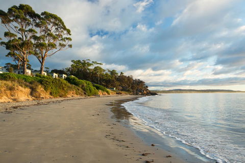 Swansea Beach Chalets - Accommodation Search 44
