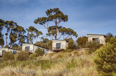 Swansea Beach Chalets - Accommodation Search 23