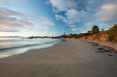 Swansea Beach Chalets - Accommodation Search 40