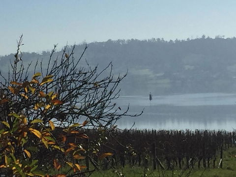 Amble\'a\'While On Tamar - Accommodation Search 23