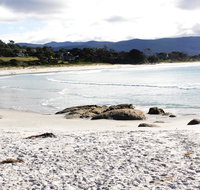 Mermaids of Bicheno - Accommodation Search
