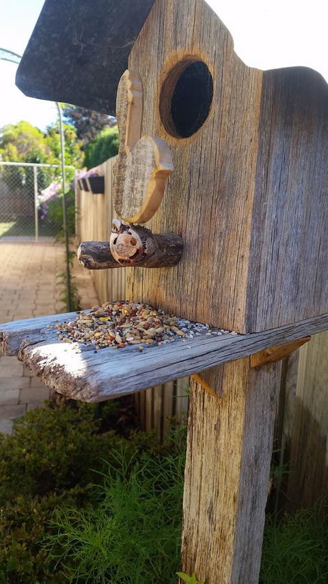 Driftwood-Cottage - Accommodation Search 29