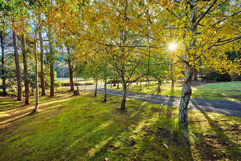 Oyster Cove Chalet - Accommodation Search 1
