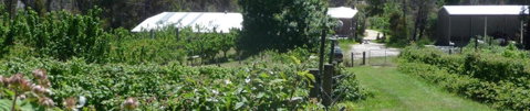Eureka Farm - Accommodation Search 25