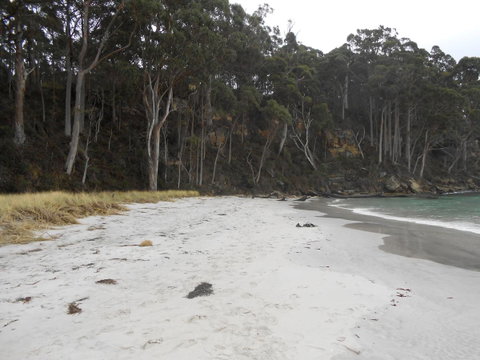 Bruny Ocean Cottage - Accommodation Search 12