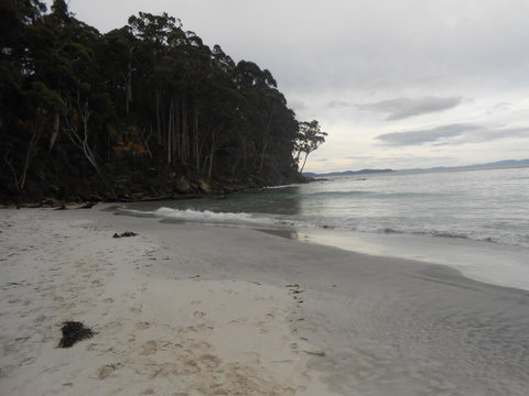 Bruny Ocean Cottage - Accommodation Search 17