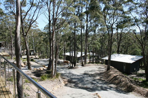 Craggy Peaks Wilderness Cabins - Accommodation Search 22