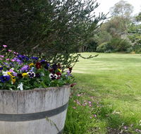 Padthaway Caravan Park - Accommodation Search