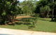 Pandanus On Litchfield - thumb 3
