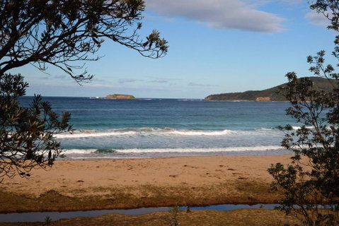 Pebbly Beach Shacks - Accommodation Search 0