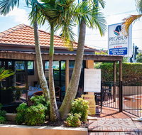 Pegasus Motor Inn and Serviced Apartments - Accommodation Search