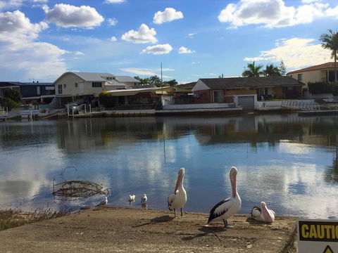 Pelican Cove Apartments - Accommodation Search 0