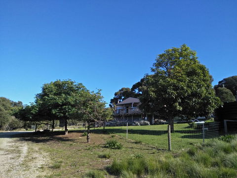 Pine Scrub Beach House - Accommodation Search 2