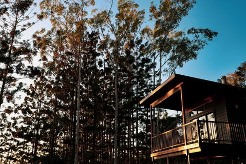 Rainforest Gardens - Luxury Hillside Chalets With Views To Bay & Islands - Accommodation Search 2