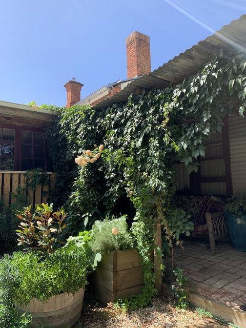 Red Hill Cottage - Accommodation Search 2