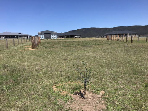 Rosehill Vines - Accommodation Search 3