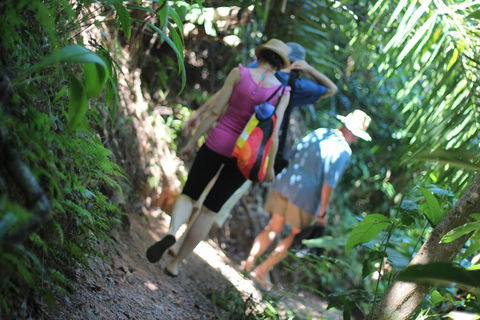 Sanctuary Retreat - Accommodation Search 0