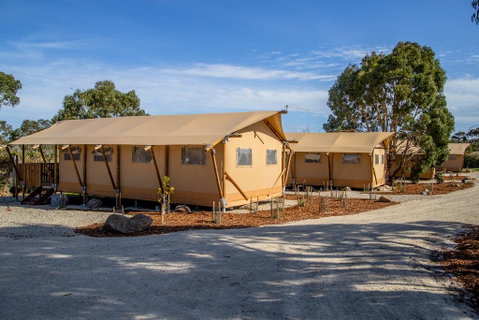 Scamander Sanctuary Holiday Park - Accommodation Search 1