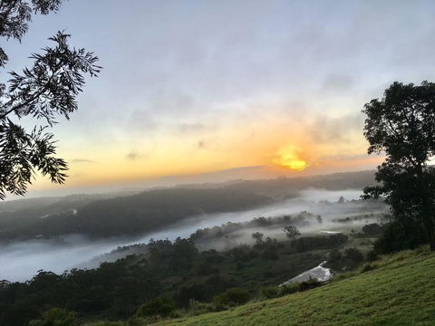 Scandinavian Cabin - Maleny - One Bedroom - Accommodation Search 2