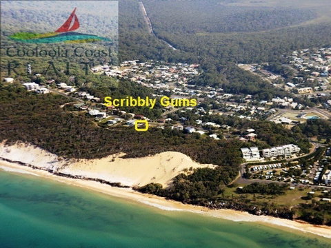 Scribbly Gums - Rainbow Beach, Ocean-front Spacious Home With Pool - Accommodation Search 2