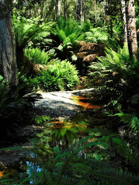 Shakespeare's Wilderness Chalet - Accommodation Search 3
