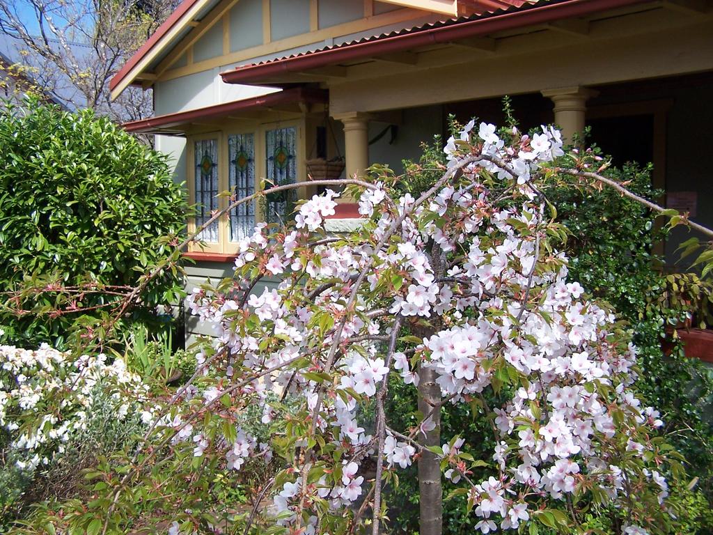 Katoomba NSW Accommodation Search