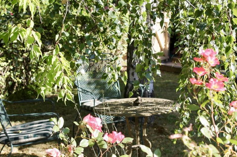 Silver Birch B&B - Accommodation Search 3