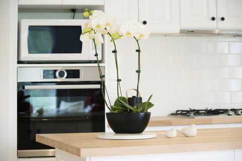 Sorrento Beach Escape - Accommodation Search 2