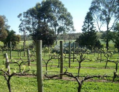 Southern Vales Bed & Breakfast - Accommodation Search 1