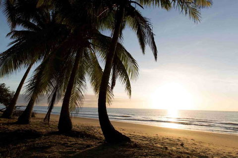 Spice At Oak Award Winning Luxury Absolute Oceanfront House Oak Beach Near Port Douglas - Accommodation Search 1