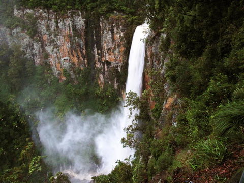 Springbrook Lyrebird Retreat - Accommodation Search 2