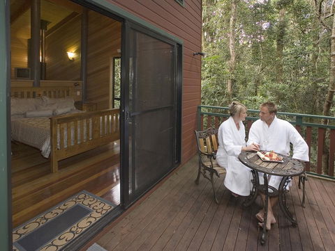Springbrook Lyrebird Retreat - Accommodation Search 3