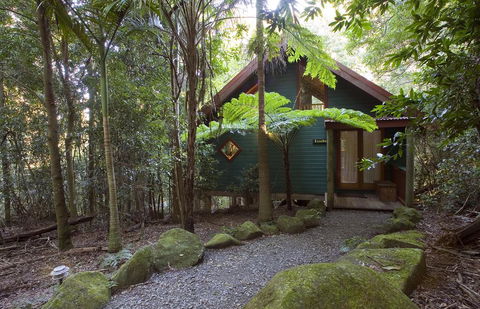 Springbrook Lyrebird Retreat - Accommodation Search 1