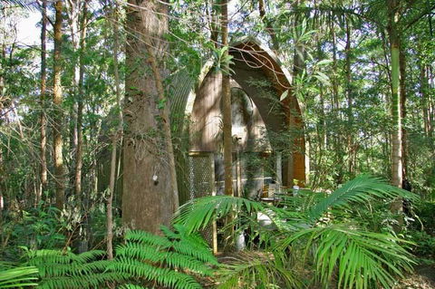 Springbrook Mountain Chalets - Accommodation Search 0