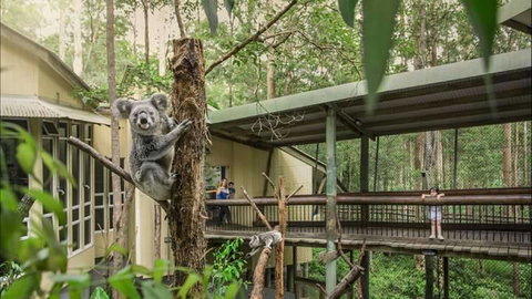 Springwood Meditation Centre - Accommodation Search 0