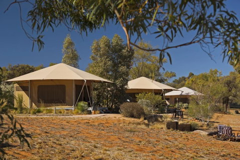 Squeakywindmill Boutique Tent B&B - Accommodation Search 0