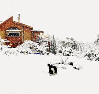 STUNNING HOME WITH AMAZING VIEWS - just 20 mins to the city and only 10 to MONA - Accommodation Search