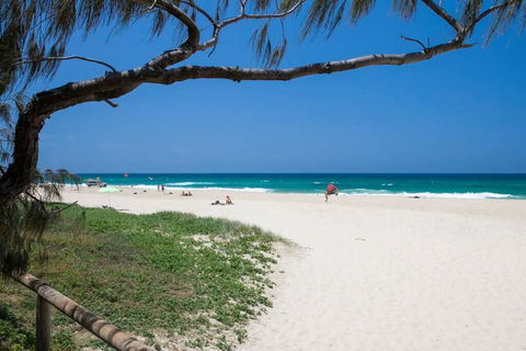 Sunshine Coast Cottage - Accommodation Search 0