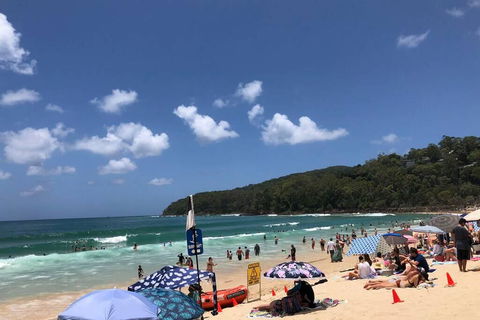 Sunshine Coast Cottage - Accommodation Search 3