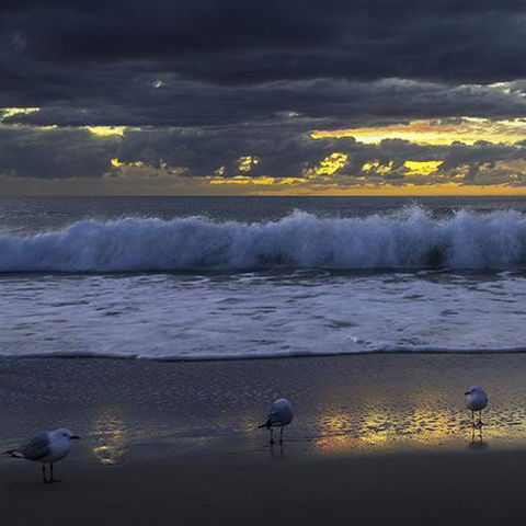 Surfers Horizons - Accommodation Search 3