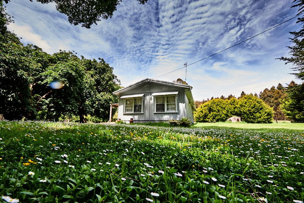 Roger River TAS Accommodation Search