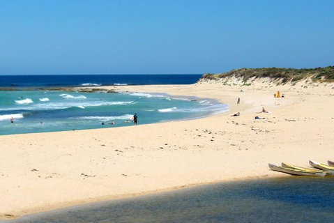 Tea Tree - Accommodation Search 2