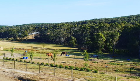 Lockleigh Park - Accommodation Search 19