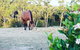Lockleigh Park - thumb 20