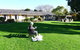Willaway Motel Apartments - thumb 10