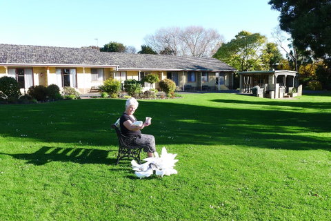 Willaway Motel Apartments - Accommodation Search 10
