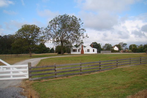 Buttons Cottage For Canyon & Rain Forest Walks With In House Dining - Accommodation Search 16